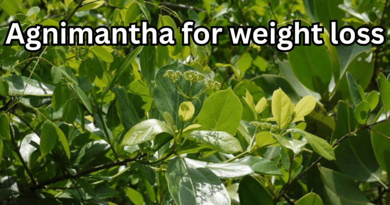 Agnimantha for weight loss in hindi